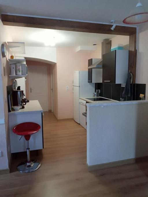 Residence Gascogne, Appartement Rose Boreal Eaux-Bonnes Exterior photo